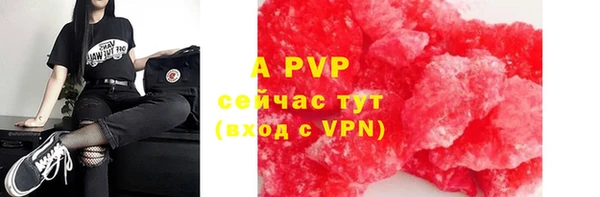 винт Алзамай