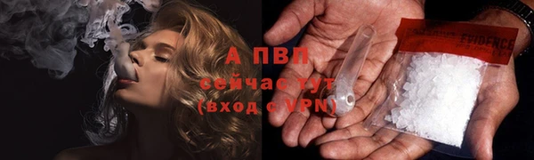 винт Алзамай