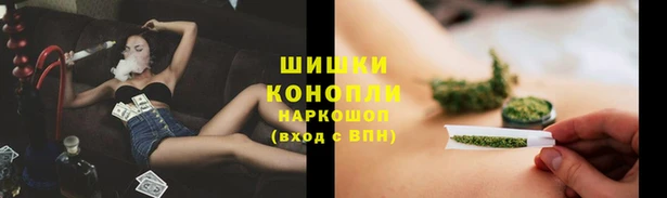 шишки Касимов