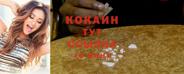 прущие грибы Карпинск