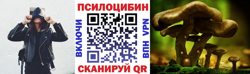 hydra tor  Кольчугино  Псилоцибиновые грибы Psilocybine cubensis 